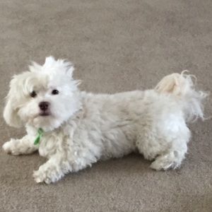 Meet your Posher, Jim